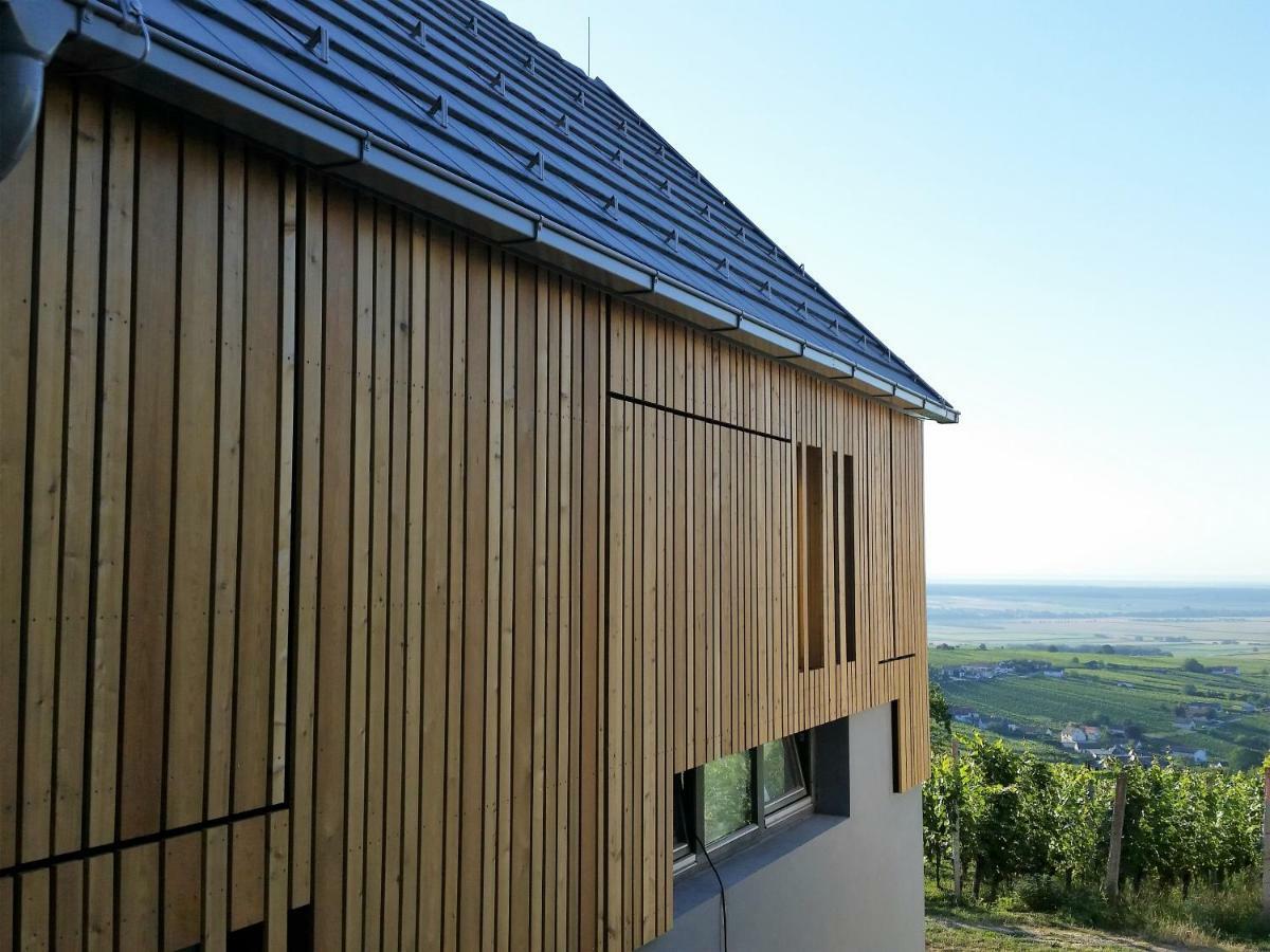 Вилла Weinlofts Weinloft II Eisenberg an der Pinka Экстерьер фото